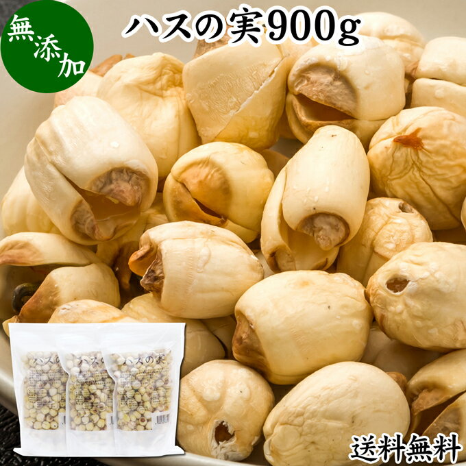 ハスの実 900g 蓮の実 はすの実 蓮実 レンジツ 徳用 送料無料 アルカロイド 無添加 乾燥 無漂白 無着色 蓮茶 はす茶 薬膳茶 業務用 食材 健康食材 漢方 薬膳 美容 ダイエット ごはん 具材 スープ 炊き込みご飯 鍋 煮込み料理 中華食材 味噌汁 茹でる おかゆ お粥 おこわ 甘納