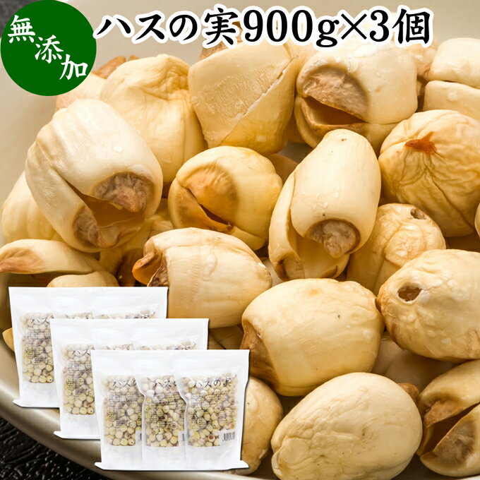 ハスの実 900g×3個 蓮の実 はすの実 