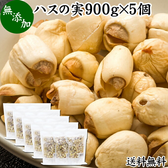 ハスの実 900g×5個 蓮の実 はすの実 