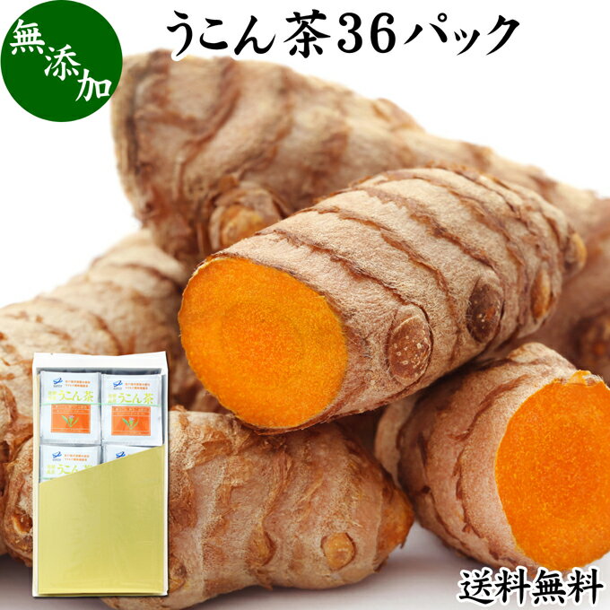 うこん茶 2g×36パック 送料無料 ウコ