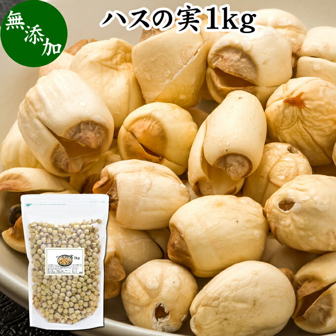 楽天青汁 粉末 健康茶の健康生活研究所ハスの実 1kg 蓮の実 はすの実 蓮実 レンジツ 徳用 アルカロイド 無添加 乾燥 無漂白 無着色 蓮茶 はす茶 薬膳茶 業務用 食材 健康食材 漢方 薬膳 美容 ダイエット ごはん 具材 スープ 炊き込みご飯 鍋 煮込み料理 中華食材 味噌汁 茹でる おかゆ お粥 おこわ 甘納豆 砂糖漬