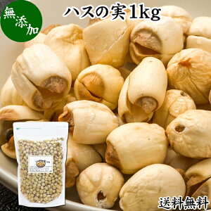 ハスの実 1kg 蓮の実 はすの実 蓮実 レンジツ 徳用 送料無料 アルカロイド 無添加 乾燥 無漂白 無着色 蓮茶 はす茶 薬膳茶 業務用 食材 健康食材 漢方 薬膳 美容 ダイエット ごはん 具材 スープ 炊き込みご飯 鍋 煮込み料理 中華食材 味噌汁 茹でる おかゆ お粥 おこわ 甘納