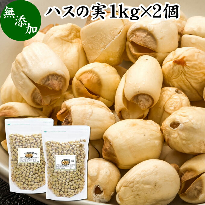 ハスの実 1kg×2個 蓮の実 はすの実 蓮実 レンジツ 徳用 アルカロイド 無添加 乾燥 無漂白 無着色 蓮茶 はす茶 薬膳茶 業務用 食材 健康食材 漢方 薬膳 美容 ダイエット ごはん 具材 スープ 炊き込みご飯 鍋 煮込み料理 中華食材 味噌汁 茹でる おかゆ お粥 おこわ 甘納豆