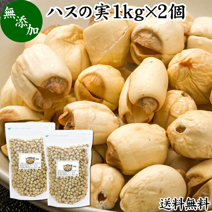 ハスの実 1kg×2個 蓮の実 はすの実 蓮実 レンジツ 徳用 送料無料 アルカロイド 無添加 乾燥 無漂白 無着色 蓮茶 はす茶 薬膳茶 業務用 食材 健康食材 漢方 薬膳 美容 ダイエット ごはん 具材 スープ 炊き込みご飯 鍋 煮込み料理 中華食材 味噌汁 茹でる おかゆ お粥 おこわ