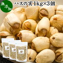 ハスの実 1kg×3個 蓮の実 はすの実 