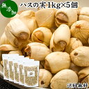 ハスの実 1kg×5個 蓮の実 はすの実 