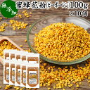 蜜蜂 花粉 100g×10個 ビーポーレン 花粉団子 花粉荷 みつばち かふん 無添加 100％ 非加熱 サプリ サプリメント 顆粒 粒 BEE POLLEN アミノ酸 スーパー パーフェクト フード ビタミン A B C E マグネシウム 鉄 亜鉛 葉酸 酵素 ルチン ドッグフード キャットフード ヨーグル