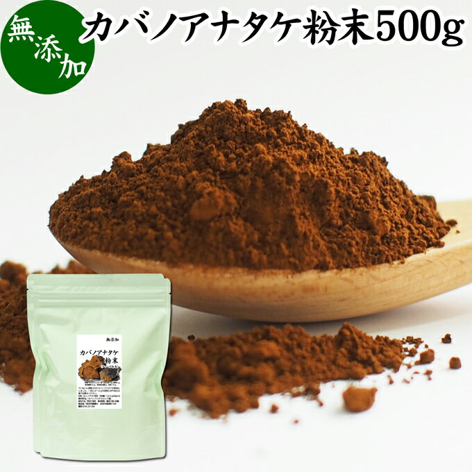 カバノアナタケ粉末 500g (250g×2袋) パウダー チャーガ チャガ 微粉末 きのこ 樺孔茸 無添加 カバノアナタケ茶 チャーガ茶 チャガ茶 チャーガティー チャガティー きのこ茶 樺孔茸茶 粉末茶 サプリ サプリメント 乾燥 薬膳茶 ロシア産 天然 100％ ベータグルカン 苦味