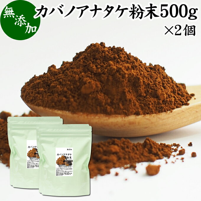 カバノアナタケ粉末 500g×2個 (250g×4袋) パウダー チャーガ チャガ 微粉末 きのこ 樺孔茸 無添加 カバノアナタケ茶 チャーガ茶 チャガ茶 チャーガティー チャガティー きのこ茶 樺孔茸茶 粉末茶 サプリ サプリメント 乾燥 薬膳茶 ロシア産 天然 100％ ベータグルカン 苦味 1