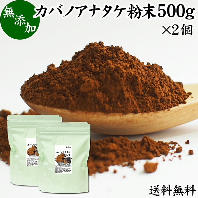 カバノアナタケ粉末 500g×2個 (250g×4