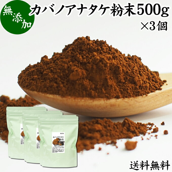 カバノアナタケ粉末 500g×3個 (250g×6袋) パウダー チャーガ チャガ 微粉末 送料無料 きのこ 樺孔茸 無添加 カバノアナタケ茶 チャーガ茶 チャガ茶 チャーガティー チャガティー きのこ茶 樺孔茸茶 粉末茶 サプリ サプリメント 乾燥 薬膳茶 ロシア産 天然 100％ ベータグル