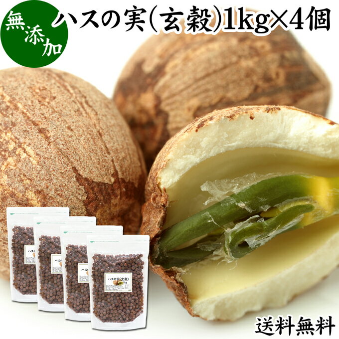 ハスの実 玄穀 1kg×4個 蓮の実 はすの実 蓮実 レンジツ 送料無料 アルカロイド 無添加 乾燥 無漂白 無着色 蓮茶 はす茶 薬膳茶 業務用 食材 健康食材 漢方 薬膳 美容 ダイエット ごはん 具材 スープ 炊き込みご飯 鍋 煮込み料理 中華食材 味噌汁 茹でる おかゆ お粥 おこわ