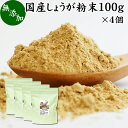 しょうが 粉末 100g×4個 生姜 粉末 パウダー ジンジャー ショウガ 国産 高知県産 100% 乾燥 蒸し しょうが 茶 紅茶 生姜湯 ショウガ湯 サプリ サプリメント 生生姜 無添加 無着色 無香料 ぽかぽか ショウガオール ジンゲロール 温活 妊活 ダイエット 冷え 対策 お試し おた