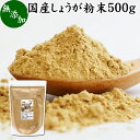 楽天青汁 粉末 健康茶の健康生活研究所しょうが 粉末 500g 生姜 粉末 パウダー ジンジャー ショウガ 国産 高知県産 100％ 業務用 乾燥 蒸し しょうが 茶 紅茶 生姜湯 ショウガ湯 サプリ サプリメント 生生姜 無添加 無着色 無香料 ぽかぽか ショウガオール ジンゲロール 温活 妊活 ダイエット 冷え 対策 お試し