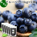 楽天青汁 粉末 健康茶の健康生活研究所ブルーベリー 1kg×5個 ブルー ベリー ドライ フルーツ 乾燥 果物 カルチベイト カルティベイト 着色料 保存料 香料 不使用 無着色 業務用 大容量 ポリフェノール アントシアニン 食物繊維 ビタミン ミネラル 健康 美容 菓子 お菓子 おやつ グラノーラ スイーツ スムージー