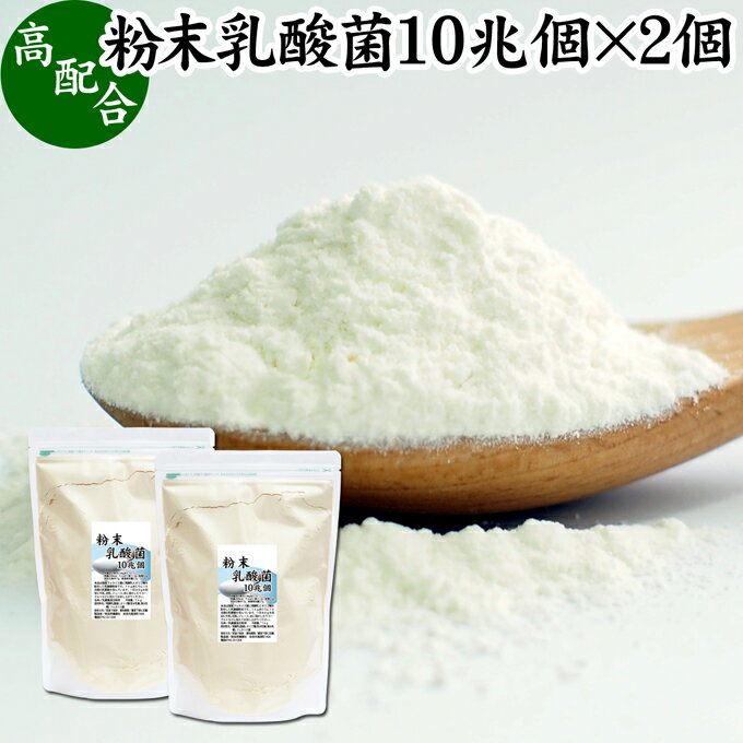 粉末乳酸菌 10兆個 1kg 2個 フェカリス菌 サプリ サプリメント パウダー 乳酸菌 粉末 プロバイオティクス 菌活 腸活 腸内フローラ 乳酸菌 パウダー 飲料 砂糖不使用 自然健康社 ペット わんこ …