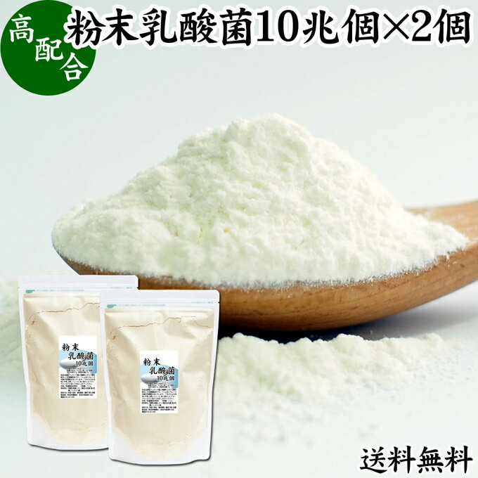 粉末乳酸菌 10兆個 1kg 2個 フェカリス菌 サプリ サプリメント パウダー 乳酸菌 粉末 送料無料 プロバイオティクス 菌活 腸活 腸内フローラ 乳酸菌 パウダー 飲料 砂糖不使用 自然健康社 ペッ…