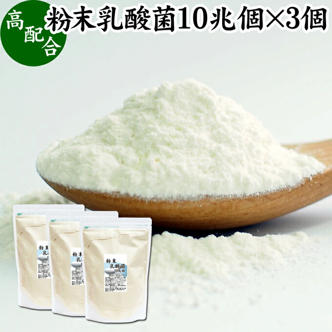 粉末乳酸菌 10兆個 1kg×3個 フェカリス菌 サプリ サプリメント パウダー 乳酸菌 粉末 プロバイオティクス 菌活 腸活 腸内フローラ 乳酸菌 パウダー 飲料 砂糖不使用 自然健康社 ペット わんこ 犬 猫 ラクリス菌 シールド スマート ビフィズス菌 おすすめ オリゴ糖 ダイエッ 1