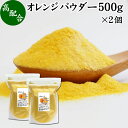 オレンジパウダー 500g×2個 フルーツ みかん 粉末 スムージー 果実 果汁 くだもの 果物 野菜 ぱうだー 業務用 フレーバー 香料 ジュース アイス ヨーグルト ケーキ ゼリー お菓子作り パン作り 製菓 製パン アイシング フロスティング 材料 ソース ドレッシング