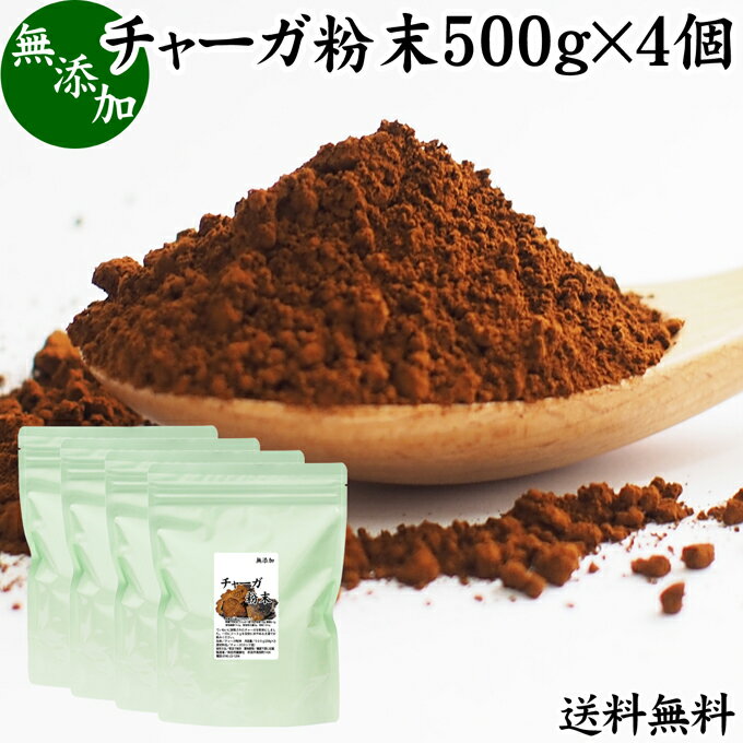 チャーガ粉末 500g×4個 (250g×8袋) 送