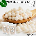 タピオカパール 1kg×3個 送料無料 パールタピオカ 大粒