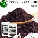 マキベリーパウダー 30g×2個 フリーズドライ マキベリー パウダー 粉末 チリ産 パタゴニア 無添加 100% 果物 フルーツ パウダー カリウム アントシアニン アントシアニジン ポリフェノール 鉄分 食物繊維 スーパーフード ヨーグルト スムージー シリアル グラノーラ 青汁