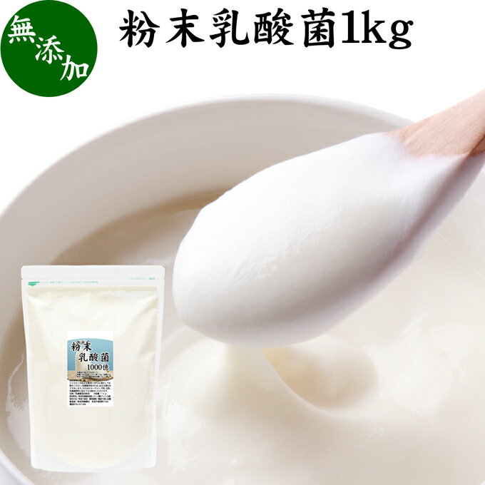 粉末乳酸菌 1kg ビフィズス菌 粉末 