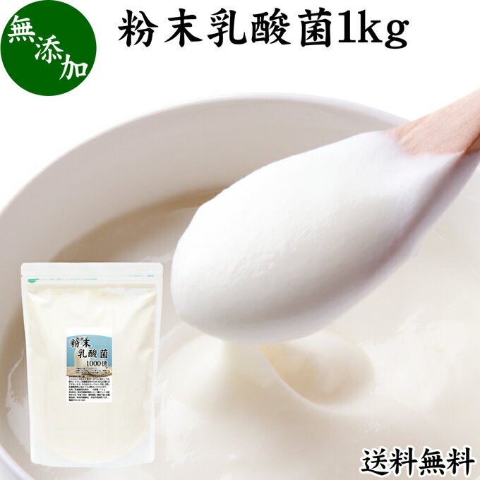 粉末乳酸菌 1kg ビフィズス菌 粉末 乳酸菌 パウダー サプリ サプリメント プロバイオティクス 菌活 腸活 腸内フローラ 飲料 砂糖不使用 自然健康社 ペット 犬 猫 ラクリス菌 シールド スマート 乳酸菌 フェカリス菌 おすすめ オリゴ糖 ダイエット ラクトース 送料無料