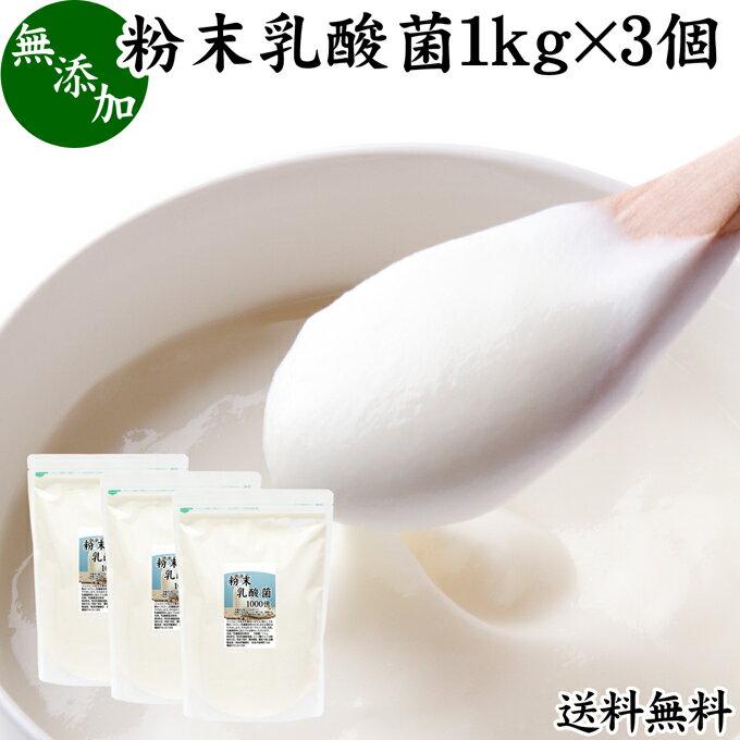 粉末乳酸菌 1kg×3個 ビフィズス菌 粉末 乳酸菌 パウダー サプリ サプリメント プロバイオティクス 菌活 腸活 腸内フローラ 飲料 砂糖不使用 自然健康社 ペット 犬 猫 ラクリス菌 シールド スマート 乳酸菌 フェカリス菌 おすすめ オリゴ糖 ダイエット ラクトース 送料無料