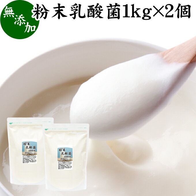 粉末乳酸菌 1kg×2個 ビフィズス菌 粉