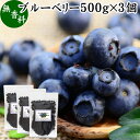 楽天青汁 粉末 健康茶の健康生活研究所ブルーベリー 500g×3個 ブルー ベリー ドライ フルーツ 乾燥 果物 カルチベイト カルティベイト 着色料 保存料 香料 不使用 無着色 業務用 大容量 ポリフェノール アントシアニン 食物繊維 ビタミン ミネラル 健康 美容 菓子 お菓子 おやつ グラノーラ スイーツ スムージー