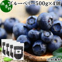 楽天青汁 粉末 健康茶の健康生活研究所ブルーベリー 500g×4個 ブルー ベリー ドライ フルーツ 乾燥 果物 カルチベイト カルティベイト 着色料 保存料 香料 不使用 無着色 業務用 大容量 送料無料 ポリフェノール アントシアニン 食物繊維 ビタミン ミネラル 健康 美容 菓子 お菓子 おやつ グラノーラ スムージー