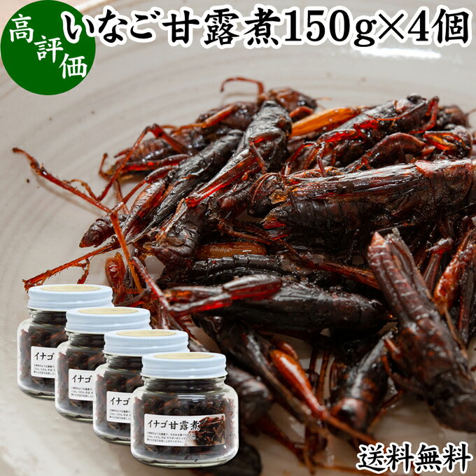 楽天青汁 粉末 健康茶の健康生活研究所イナゴ 甘露煮 150g×4個 いなご 佃煮 蝗 オカエビ 小エビ 小海老 小えび 食感 送料無料 つくだ煮 かんろに 珍味 昆虫食 グルメ 郷土料理 おせち料理 美容 健康 キャンプ用 アウトドア 食材 トッピング 惣菜 おそうざい 煮物 おかず おつまみ おやつ 白飯 うどん そば 蕎麦