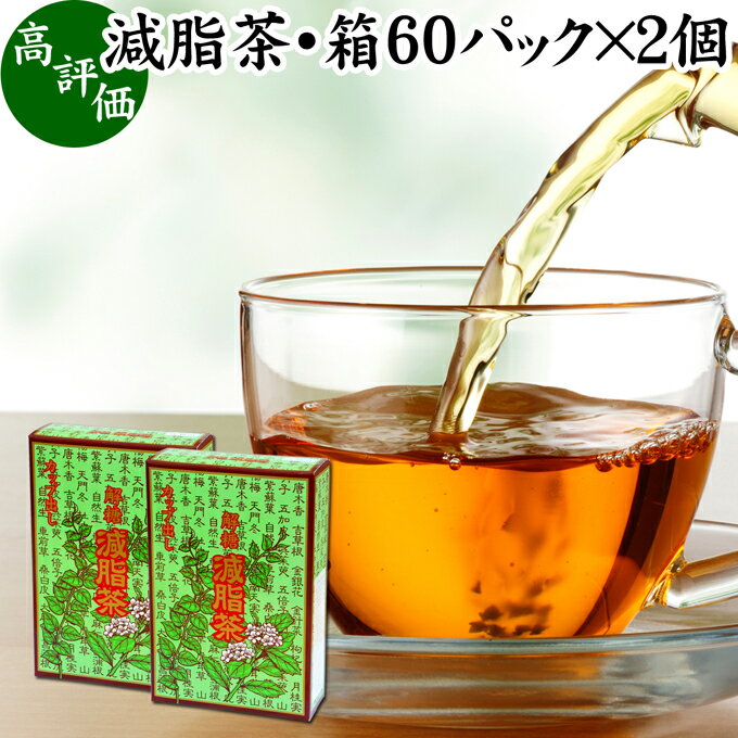 減脂茶 60パック×2個 ダイエット茶 ダイエットティー ギムネマ茶 配合 ぎむねま茶 ギムネマシルベスタ 決明子 ケツメイシ 甘草 カンゾウ サンザシ ギムネマ葉 ダイエット サポート サプリ 漢方 生薬 ハーブティー お茶 ティーパック ティーバッグ 薬草茶 健康飲料 健康食品