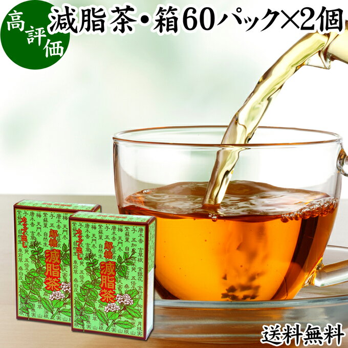 減脂茶 60パック×2個 ダイエット茶 ダイエットティー ギ