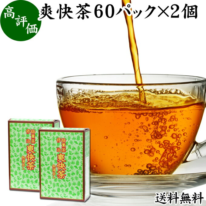 爽快茶 箱 60パック×2