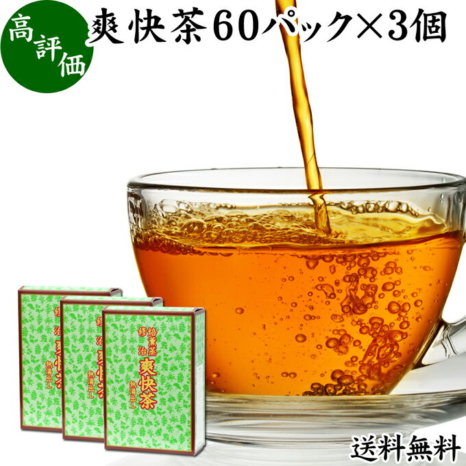 爽快茶 箱 60パック×2個 本草茶 健康茶 ドクダミ どくだみ エビスグサ 種子 決明子 河原決明 カワラケツメイ 大豆 ウーロン茶 烏龍茶 ハトムギ はとむぎ ゴールデンキャンドル 送料無料 ブレンド茶 ブレンドティー お茶 健康 美容 カップ出し用 熱水 熱湯 抽出 濃厚 パック