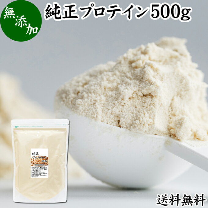 純正プロテイン 500g ソイ プロテイン 大豆 甘くない 