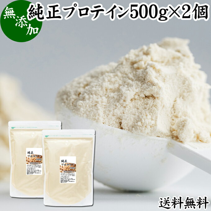 純正プロテイン 500g×2個 ソイ プロテイン 大豆 甘く