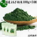 よもぎ粉末 100g×3個 ヨモギ パウダー ヨモギ粉 よもぎ茶 ヨモギ茶 蓬 茶 送料無料 国産 青汁 乾燥 新芽 香り におい おすすめ 粉茶 お茶 お試し 無農薬 無添加 ノンカフェイン 葉酸 ルテイン ポリフェノール ハーブ ティー 漢方 薬膳 クロロフィル 自家製 スムージー 餅