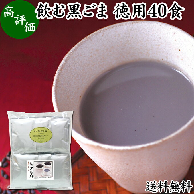 飲む黒ごま 40食 徳用 黒ごま 黒豆 きな粉 黒ゴマ 黒胡麻 きなこ 送料無料 黒大豆 粉末 黒糖 ふんまつ きな粉 国産 北海道 ダイエット ファスティング セサミン アントシアニン ポリフェノール ビタミンE トコフェロール セレン リグナン カルシウム 鉄分 亜鉛 イソフラボン