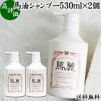 馬油 シャンプー 530ml×2個 馬麗 まれい ホウリン ばーゆ バーユ まーゆ 馬の油 シャンプー 送料無料 セラミド セレブロシド 天然 モイスチャー 成分 植物 エキス アルニカ オドリコソウ オランダガラシ セイヨウキズタ ローズマリー セイヨウアカマツ カミツレ シャンプー