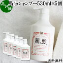 馬油 シャンプー 530ml×5個 馬麗 まれい ホウリン ばーゆ バーユ まーゆ 馬の油 シャンプー 送料無料 セラミド セレブロシド 天然 モイスチャー 成分 植物 エキス アルニカ オドリコソウ オランダガラシ セイヨウキズタ ローズマリー セイヨウアカマツ カミツレ シャンプー