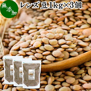 レンズ豆 1kg×3個 レンズマメ 皮付き ブラウン アメリカ産 無添加 100% 皮つき レンティル レンチル ヒラマメ 乾燥豆 業務用 たんぱく質 食物繊維 鉄分 亜鉛 葉酸 セレン ミネラル スーパーフード ヴィーガン ビーガン ベジタリアン マクロビオティック マクロビ 健康 美容