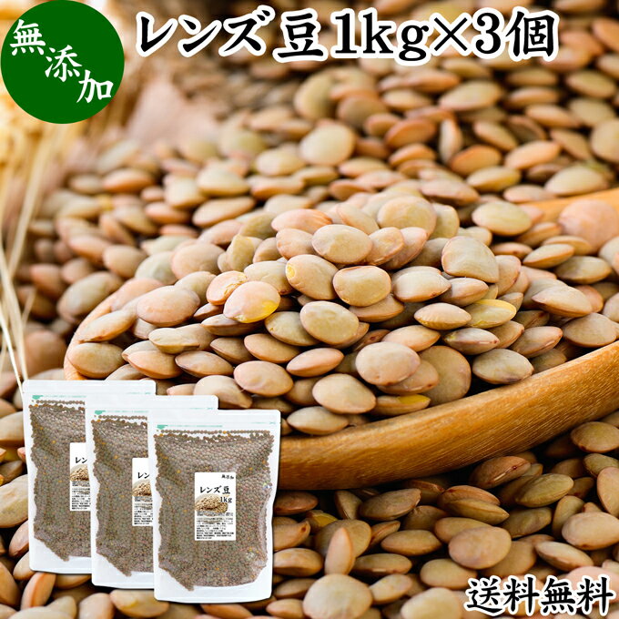 レンズ豆 1kg×3個 レンズマメ 皮付き ブラウン アメリカ産 無添加 100% 皮つき 送料無料 レンティル レンチル ヒラマメ 乾燥豆 業務用 たんぱく質 食物繊維 鉄分 亜鉛 葉酸 セレン ミネラル スーパーフード ヴィーガン ビーガン ベジタリアン マクロビオティック マクロビ