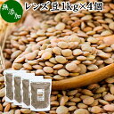 レンズ豆 1kg×4個 レンズマメ 皮付き ブラウン アメリカ産 無添加 100% 皮つき レンティル レンチル ヒラマメ 乾燥豆 業務用 たんぱく質 食物繊維 鉄分 亜鉛 葉酸 セレン ミネラル スーパーフード ヴィーガン ビーガン ベジタリアン マクロビオティック マクロビ 健康 美容