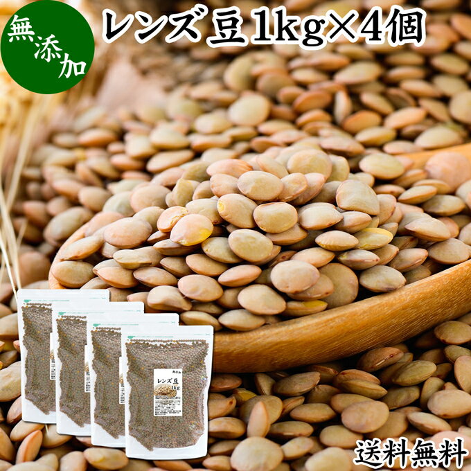 レンズ豆 1kg×4個 レンズマメ 皮付き ブラウン アメリカ産 無添加 100% 皮つき 送料無料 レンティル レンチル ヒラマメ 乾燥豆 業務用 たんぱく質 食物繊維 鉄分 亜鉛 葉酸 セレン ミネラル スーパーフード ヴィーガン ビーガン ベジタリアン マクロビオティック マクロビ