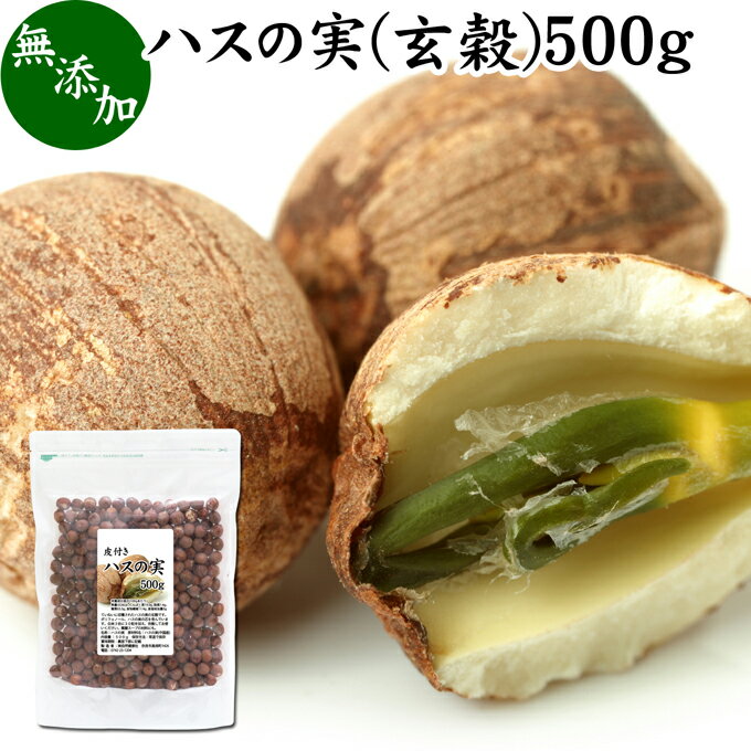 ハスの実 玄穀 500g 蓮の実 はすの実 蓮実 レンジツ アルカロイド 無添加 乾燥 無漂白 無着色 蓮茶 は..