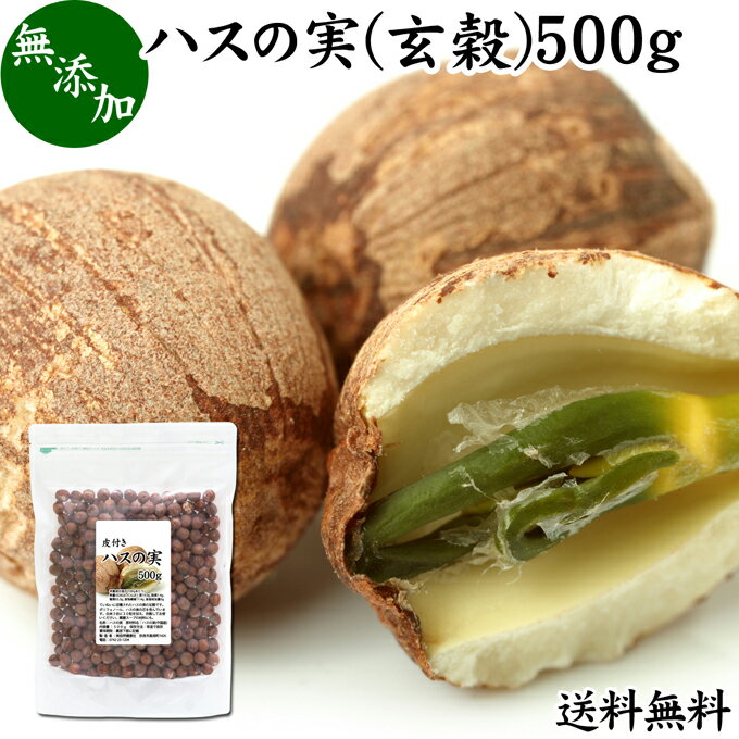 ハスの実 玄穀 500g 蓮の実 はすの実 蓮実 レンジツ 送料無料 アルカロイド 無添加 乾燥 無漂白 無着色 蓮茶 はす茶 薬膳茶 業務用 食材 健康食材 漢方 薬膳 美容 ダイエット ごはん 具材 スープ 炊き込みご飯 鍋 煮込み料理 中華食材 味噌汁 茹でる おかゆ お粥 おこわ 甘納