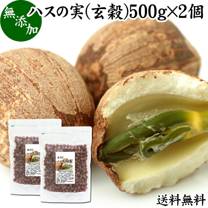 ハスの実 玄穀 500g×2個 蓮の実 はすの実 蓮実 レンジツ 送料無料 アルカロイド 無添加 乾燥 無漂白 無着色 蓮茶 はす茶 薬膳茶 業務用 食材 健康食材 漢方 薬膳 美容 ダイエット ごはん 具材 スープ 炊き込みご飯 鍋 煮込み料理 中華食材 味噌汁 茹でる おかゆ お粥 おこわ